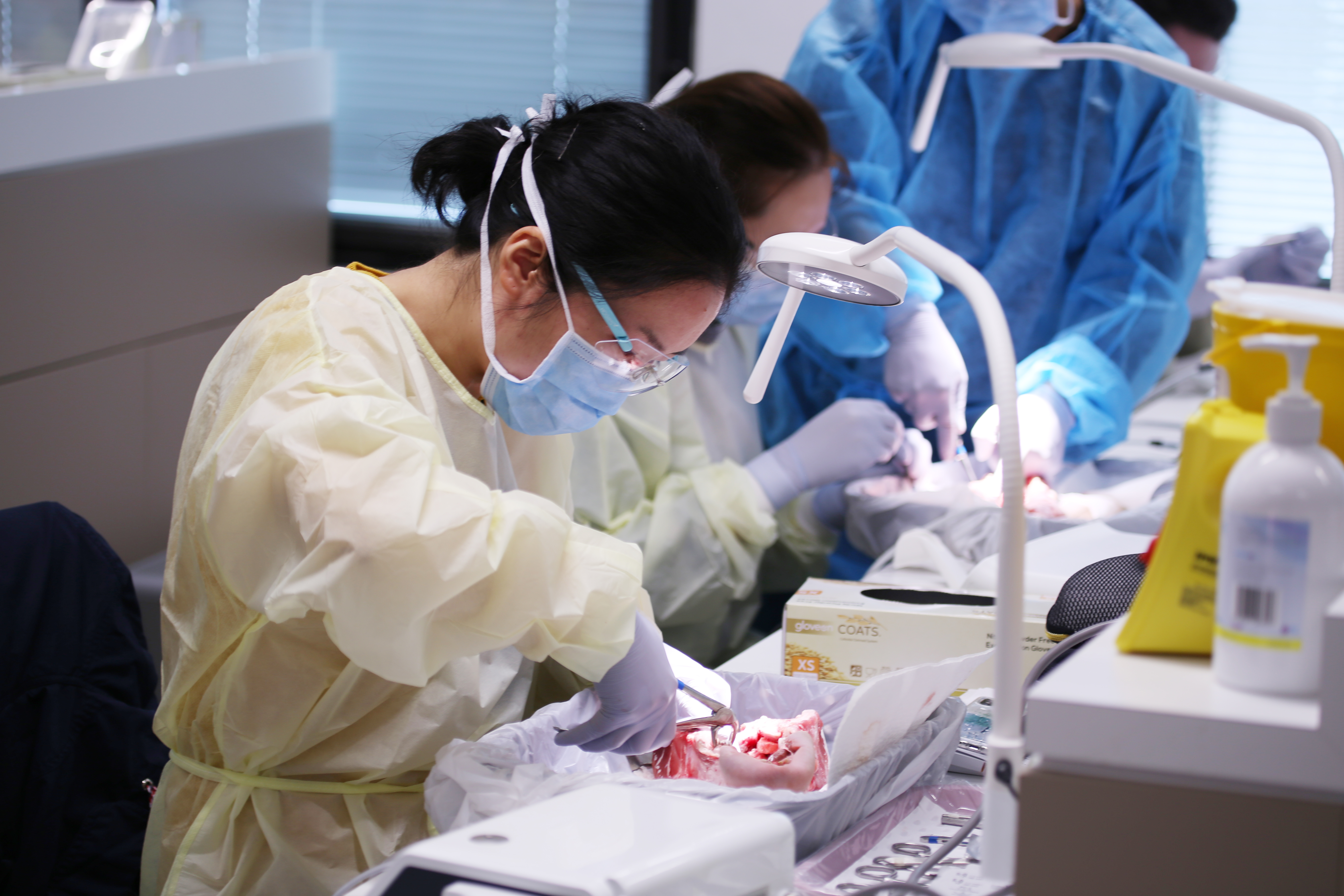 Surgical Extractions for the General Dentist